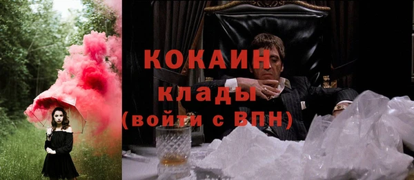 COCAINE Богородицк